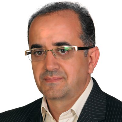 سید مجید محسنی سهی