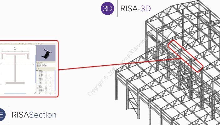 نرم افزار risa